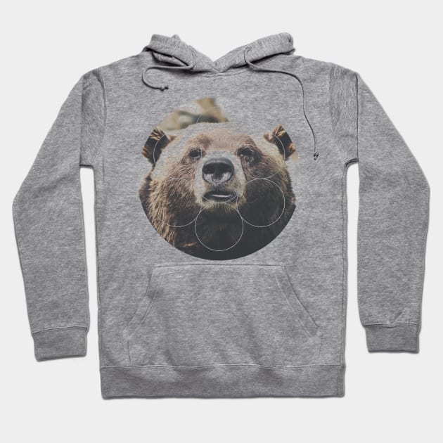 Big Bear Buddy Geometric Photography Hoodie by deificusArt